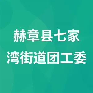 中国共产主义青年团赫章县七家湾街道工作委员会