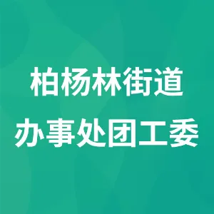 柏杨林街道办事处团工委