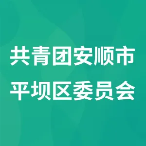 共青团安顺市平坝区委员会