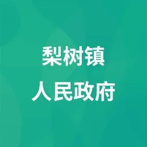 贵州省毕节市七星关区梨树镇人民政府