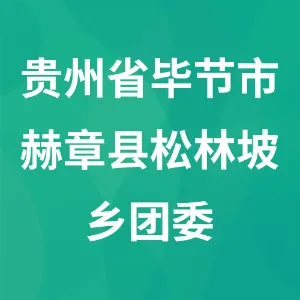 贵州省毕节市赫章县松林坡乡团委