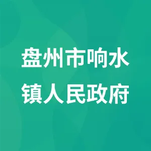 盘州市响水镇人民政府
