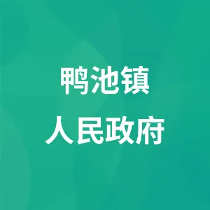 毕节市七星关区鸭池镇人民政府
