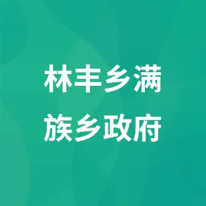 开原市林丰乡满族乡政府