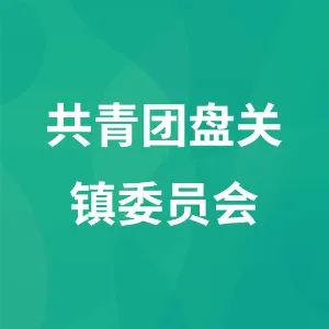 共青团盘关镇委员会