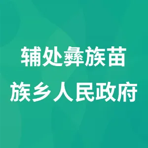 辅处彝族苗族乡人民政府