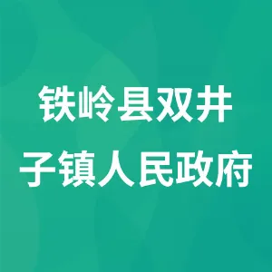 铁岭县双井子镇人民政府