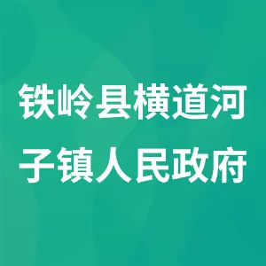 铁岭县横道河子镇人民政府