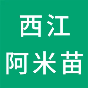 雷山西江阿米苗家餐饮服务有限公司
