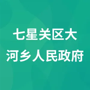 七星关区大河乡人民政府