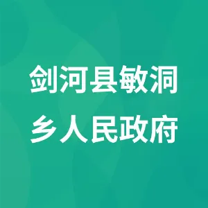 剑河县敏洞乡人民政府