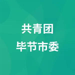 中国共产主义青年团毕节市委员会