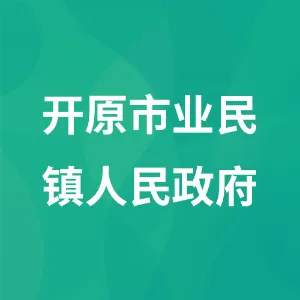 开原市业民镇人民政府