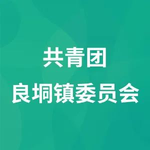 共青团良垌镇委员会