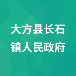 大方县长石镇人民政府