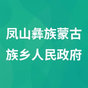 凤山彝族蒙古族乡人民政府