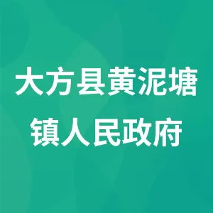 大方县黄泥塘镇人民政府