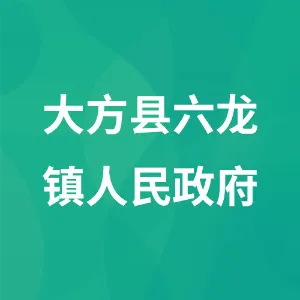 大方县六龙镇人民政府
