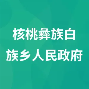 核桃彝族白族乡人民政府