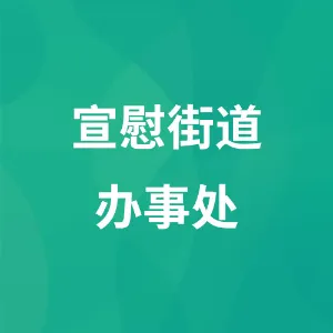 纳雍县人民政府宣慰街道办事处