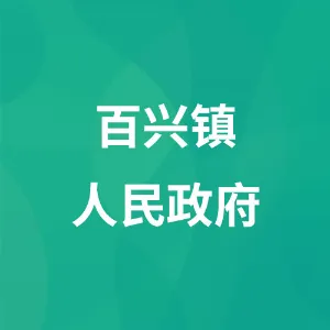 百兴镇人民政府