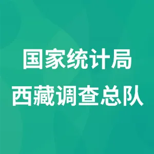 国家统计局西藏调查总队