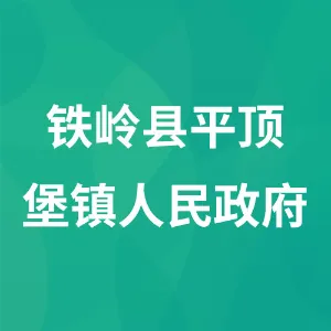 铁岭县平顶堡镇人民政府
