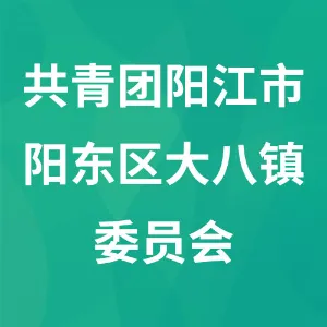 共青团阳江市阳东区大八镇委员会
