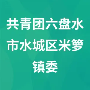 共青团贵州省六盘水市水城区米箩镇委