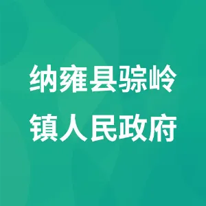 纳雍县骔岭镇人民政府