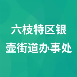 六枝特区银壶街道办事处