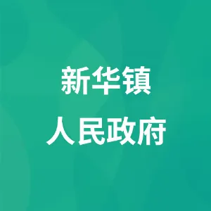 新华镇人民政府