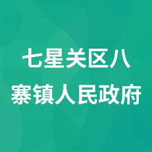 七星关区八寨镇人民政府