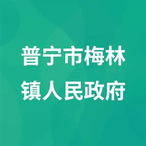 普宁市梅林镇人民政府