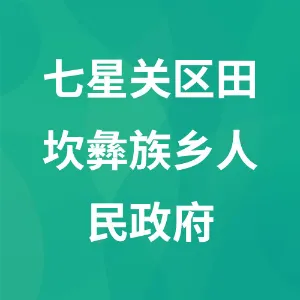 七星关区田坎彝族乡人民政府