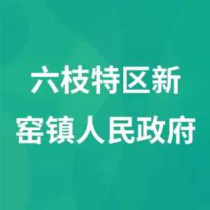 六枝特区新窑镇人民政府