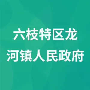 六枝特区龙河镇人民政府