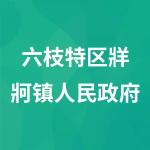 六枝特区牂牁镇人民政府