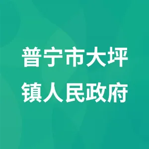 普宁市大坪镇人民政府