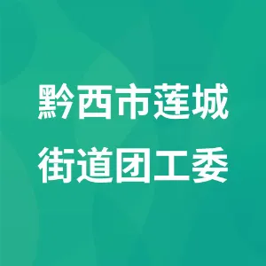 黔西市莲城街道团工委