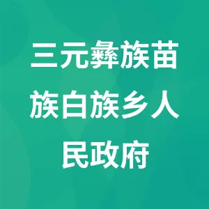 三元彝族苗族白族乡人民政府