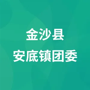 金沙县安底镇团委