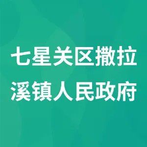 七星关区撒拉溪镇人民政府