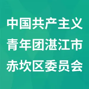 中国共产主义青年团湛江市赤坎区委员会