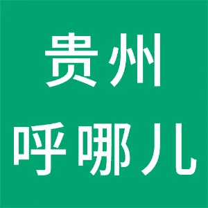贵州呼哪儿数据服务有限公司