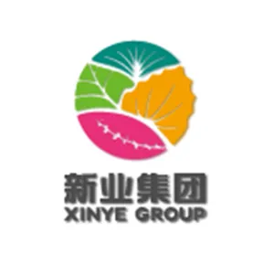 新疆新业能源化工有限责任公司