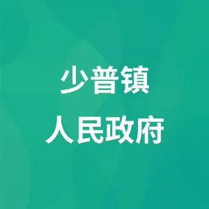 少普镇人民政府