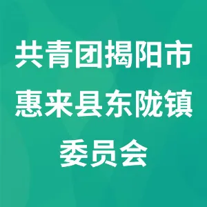中国共产主义青年团揭阳市惠来县东陇镇委员会