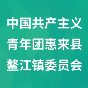 中国共产主义青年团揭阳市惠来县鳌江镇委员会