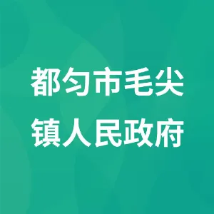 中国共青团毛尖镇委员会